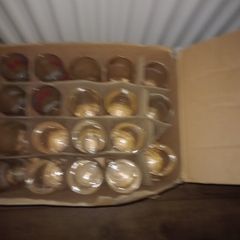 point glasses