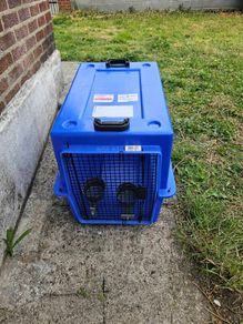 Dog- Cat travel crate
