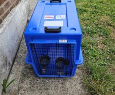 Dog- Cat travel crate