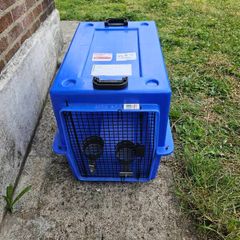 Dog- Cat travel crate