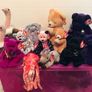 Beanie Baby Collection!! Image 5