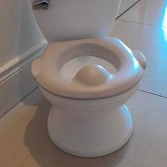 Potty Training Toilet