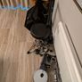 Millenium MPS-850 E-Drum Set Bundle Image 3
