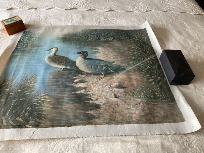 Duck Scene Canvas Painting by Justus
