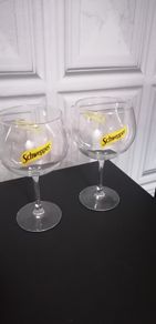 Two Gin glasses
