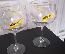 Two Gin glasses
