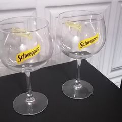Two Gin glasses