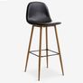 Stool Image 2