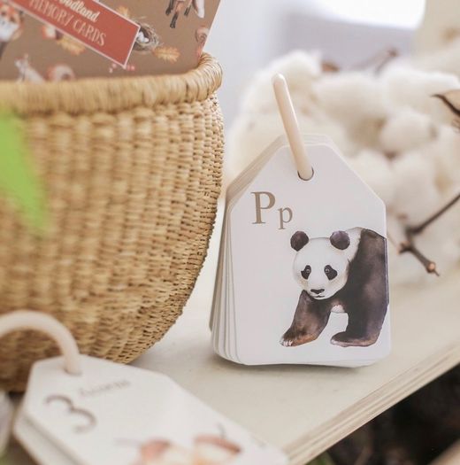 NEW Animal Alphabet Flash Cards by Modern Monty