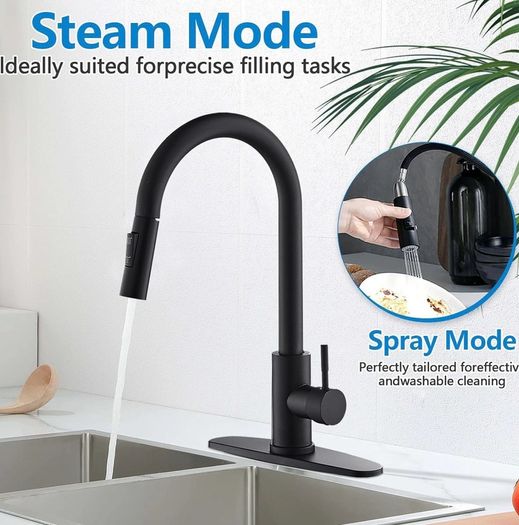 Stainless steel kitchen tap black.