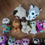 Beanie Boo Image 3
