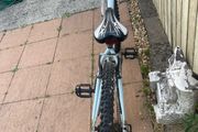 Bargain bike