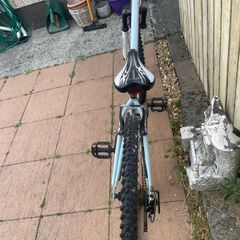 Bargain bike