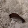H&m All In One Warm Fleece lined Waterproof Pramsuit SnowSuit Image 8