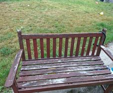Garden furniture, free to take