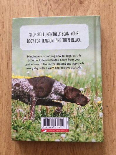 Mindfulness for dogs