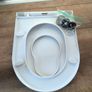 family toilet seat Image 3