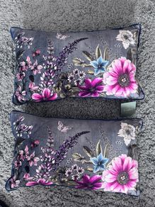 Wylder cushions x 2