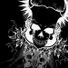 ahigherprimate
