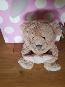 Soft Toy Teddy 'Thank You Teaching Assistant' and Gift Bag