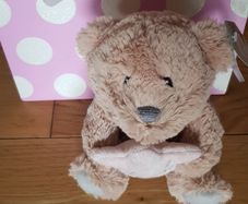 Soft Toy Teddy 'Thank You Teaching Assistant' and Gift Bag