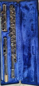 flute
