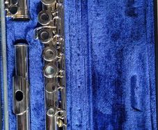 flute