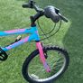 kid Image 6