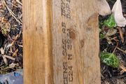 c24 timber