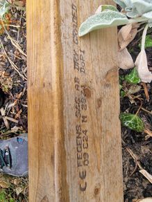 c24 timber