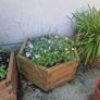 Planters Image 3