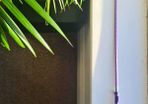 Kids horseriding crop purple