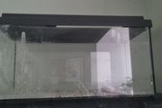 Fish Tank for sale