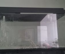 Fish Tank for sale
