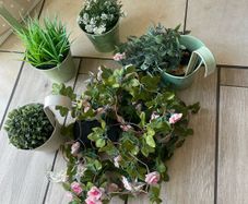 garden decor