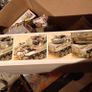 Academy WW2 USA M-18 Hellcat unmade 1:32 from 1986 Image 2