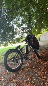 Electric bike