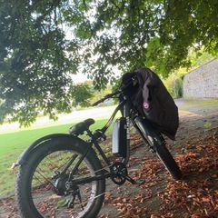 Electric bike