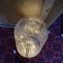 collectable Image 2