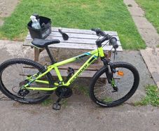 rockrider
