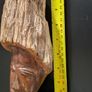 African Burl Wood Head Hand Carved Woman Bust Zambia Style 28cm Image 8