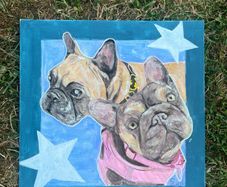 Dog/Pet Commissions