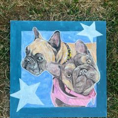 Dog/Pet Commissions