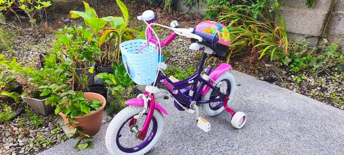 12inch girl frozen bike