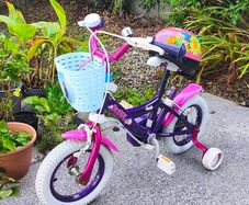 12inch girl frozen bike