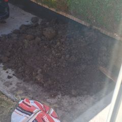 Top soil