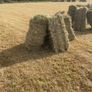 Square bales Image 2