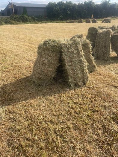 Square bales