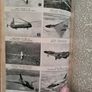 The Modern University Encyclopaedia  1957 LARGE VOLUME BOOK. Image 5