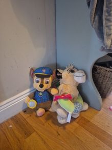Cuddly Toys